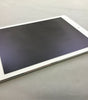 Apple iPad Air 1st Generation 16GB silver WiFi tablet showing front screen and white bezel in excellent condition